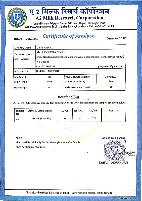 Gavyamart Bilona ghee 100percent Fresh Pure Desi Kankrej Organic Non GMO Cow Ghee-Made Using Traditional Bilona Method - Glass jar pack, 1 L-4.webp